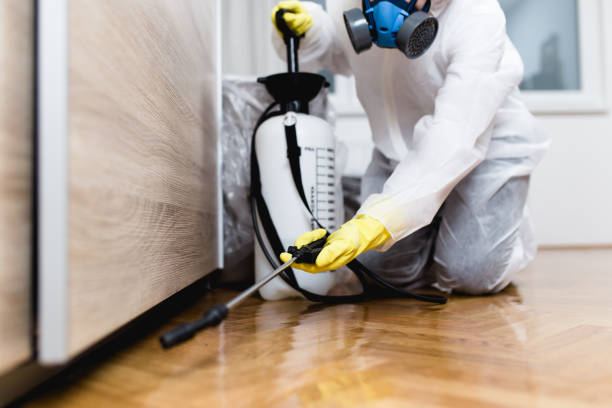 Best Flea Control Services  in St George, KS