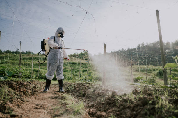 Best Pest Removal Services  in St George, KS