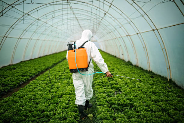 Best Pest Inspection Near Me  in St George, KS