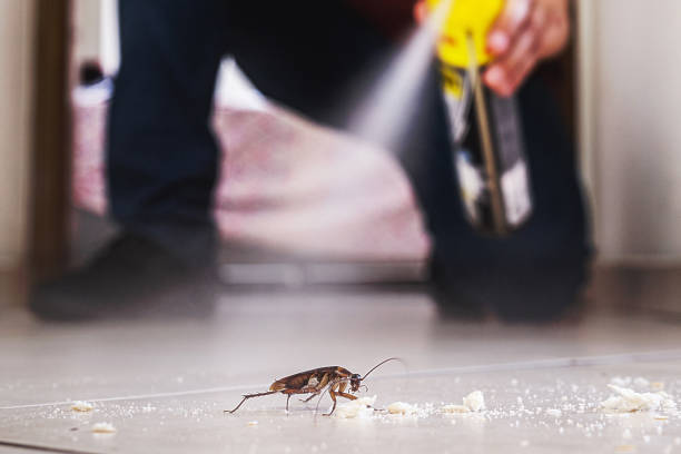 Best Commercial Pest Control Services  in St George, KS