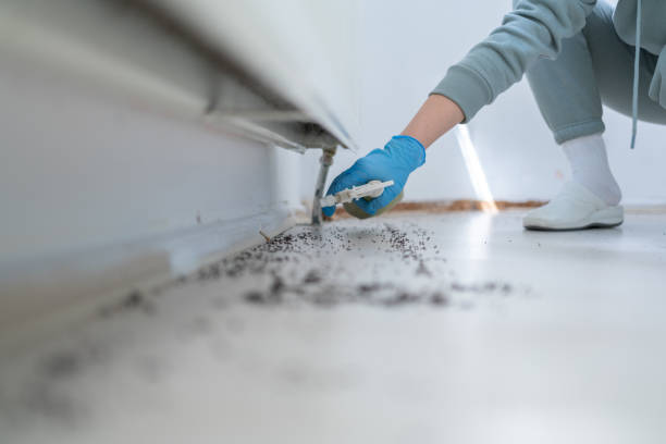 Best Pest Control for Businesses  in St George, KS