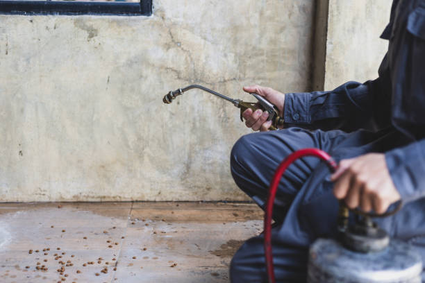 Best Pest Control for Restaurants  in St George, KS